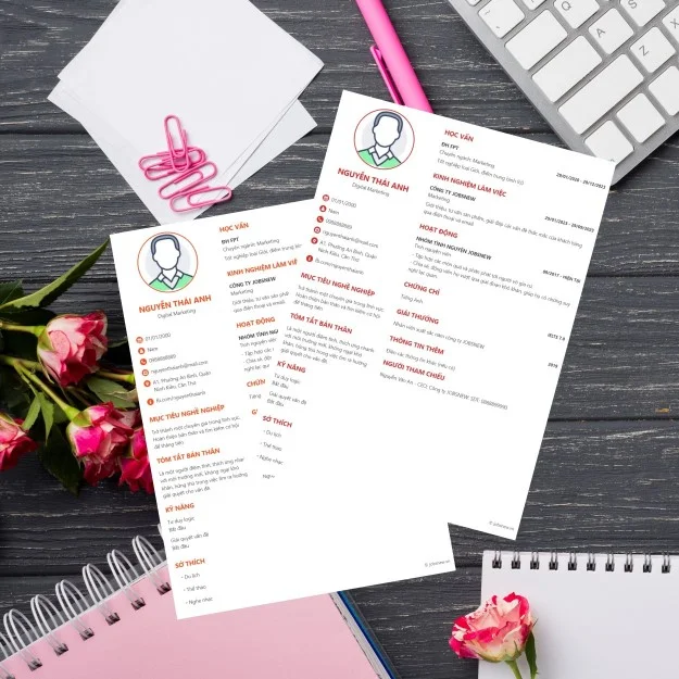 5. Mẫu CV sáng tạo